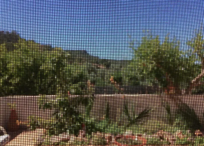 Cerro Da Janela * Alte